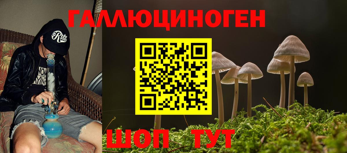 как найти закладки  Галлюциногенные грибы MAGIC MUSHROOMS  Вход с VPN  Луга 