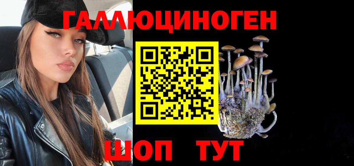 Псилоцибиновые грибы мухоморы Луга